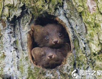 阳光电影天堂最新下载